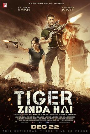 猛虎还活着/Tiger Zinda Hai电
影海报