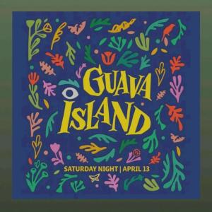 番石榴岛/Guava Island电
影海报