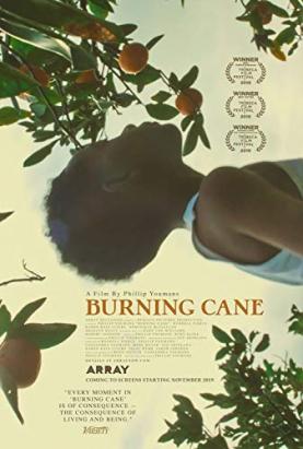 燃烧的甘蔗电
影海报