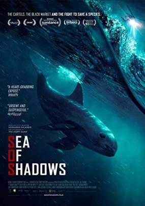 暗海/Sea of Shadows电
影海报