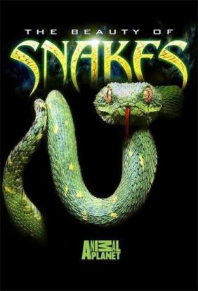 蛇之惊艳奇观电影海报